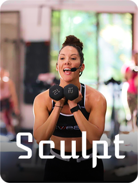 Sculpt